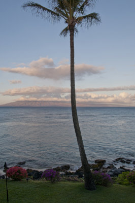 Maui_005.jpg