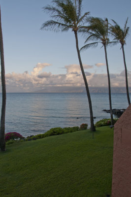 Maui_006.jpg