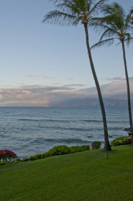 Maui_026.jpg