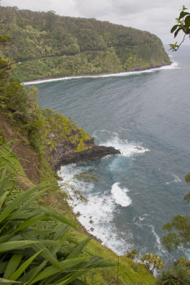 Maui_070.jpg