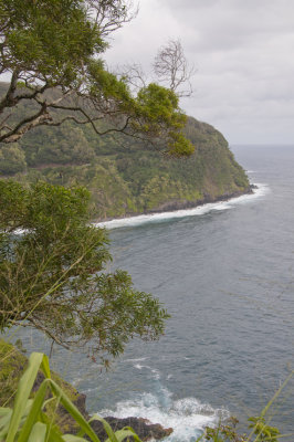 Maui_071.jpg