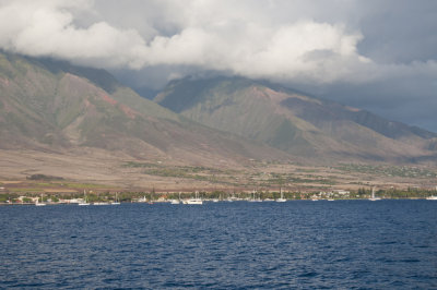 Maui_119.jpg