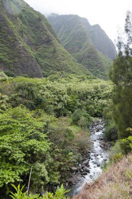 Maui_171.jpg