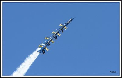 Blue Angel's