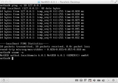 ping4.tiff