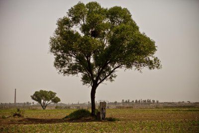 Photo17.jpg
