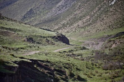 Photo23.jpg