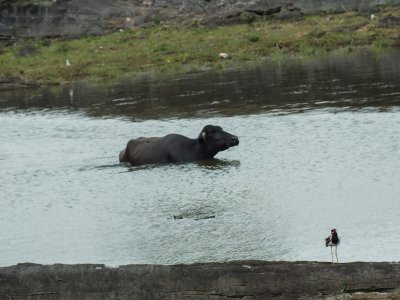 Photo22.jpg
