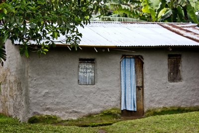 Lovely houses