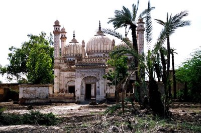 The Nawab had, apparently, a private mosque, also rotting in the desert
