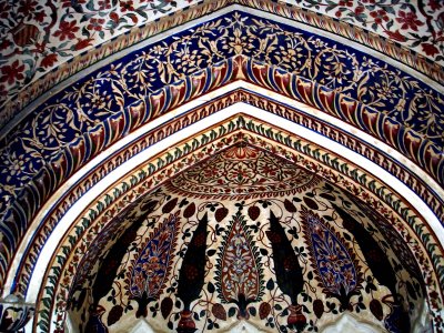 Roof detail of the Nawab's rotting mosque