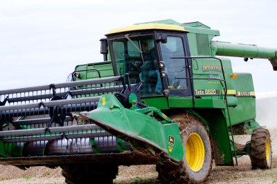 CR2_6149 Combining soybeans