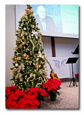 CR2_1873 Mercy, light and peace ...