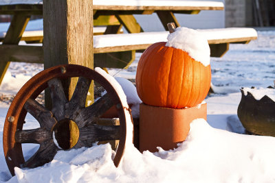 CR2_6700 Snow