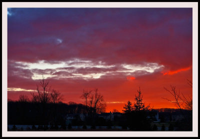CR2_6737 Good Morning
