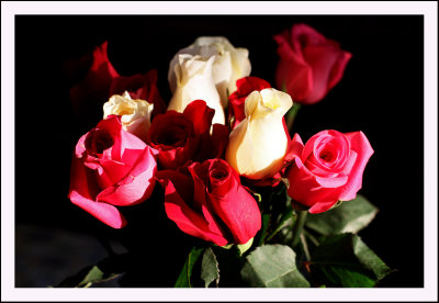 IMG_6908 Roses