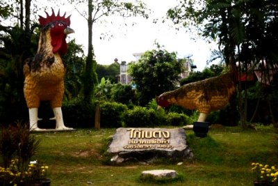 Betong Chicken Sculpture