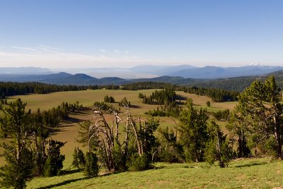 Rim Drive View