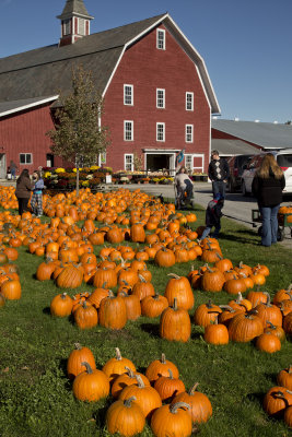 Vermont Bike Tour 2012