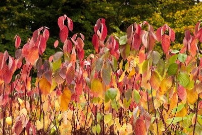 2012-10-27_2477.jpg