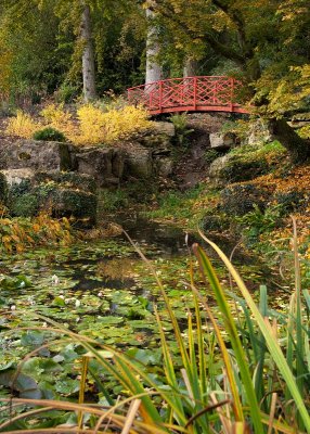 2012-10-27_2490.jpg