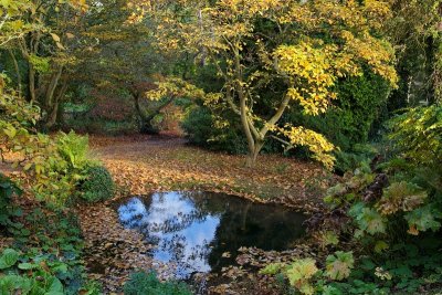 2012-10-27_2501.jpg