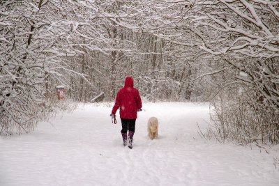 Snowy Day - Rugby