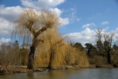 2013-04-02_3447.jpg