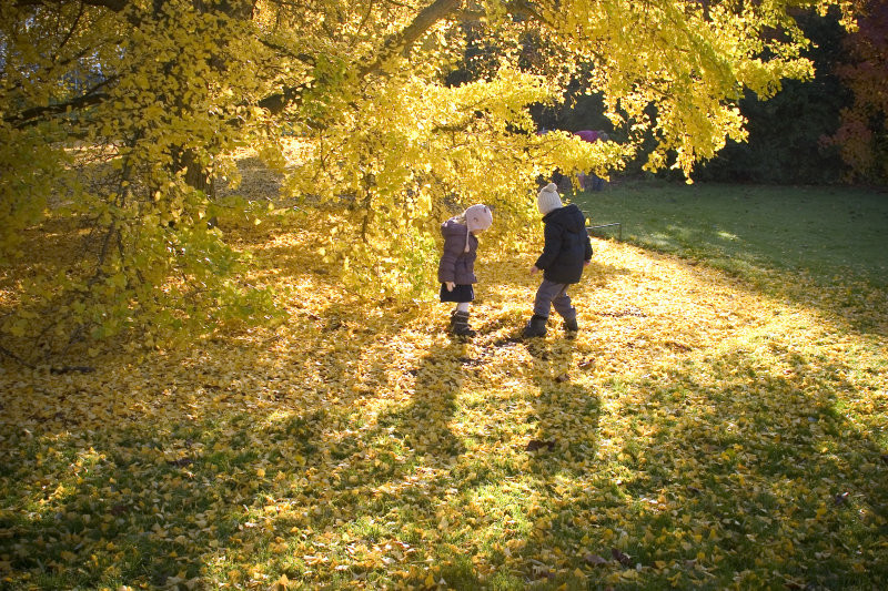Autumn play