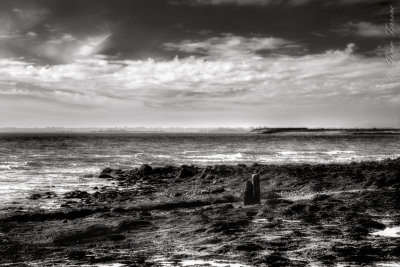 LC1O7822j_pm_bw_800.jpg