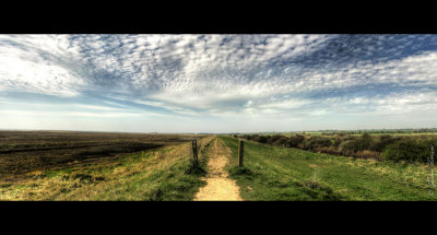 LC1O7979j_Panorama2_800.jpg