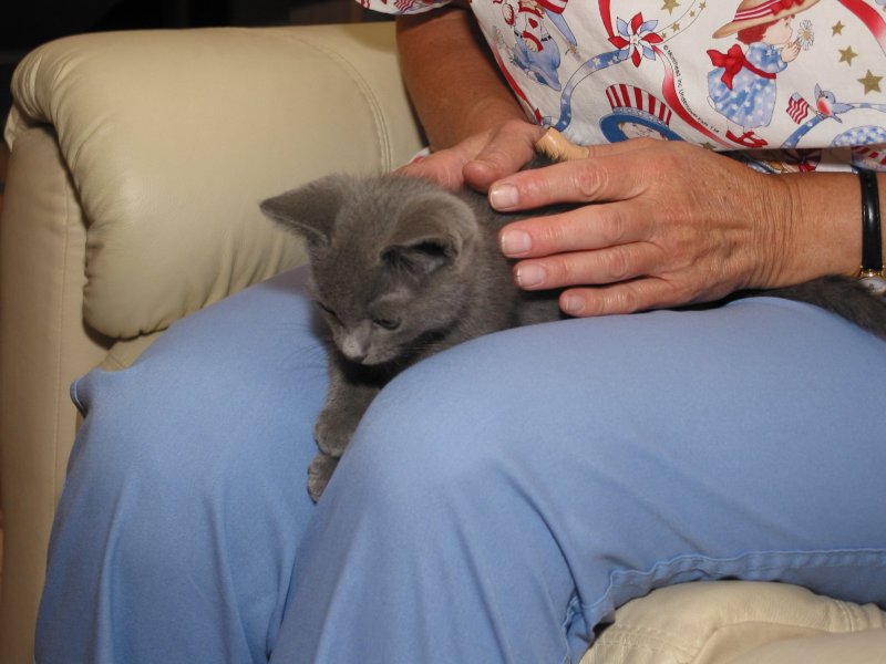 Tai as a kitten