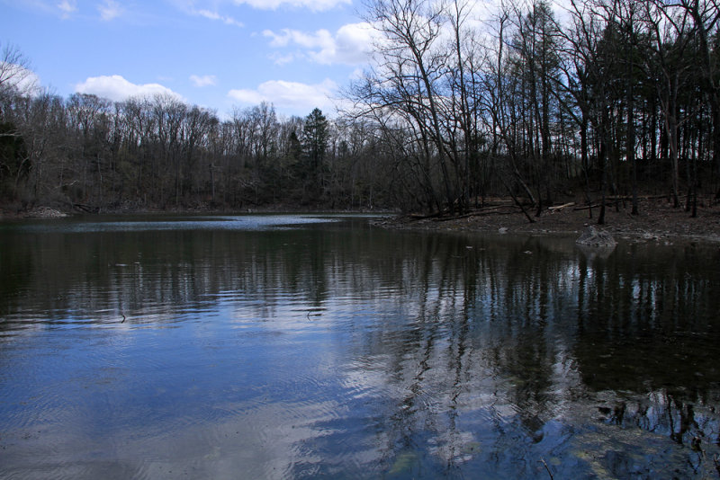 Duck Pond (a sinkhole pond)