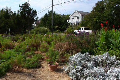 Cape May community garden