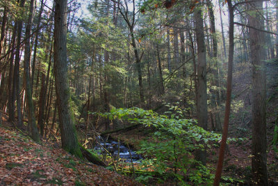 Tillman Ravine