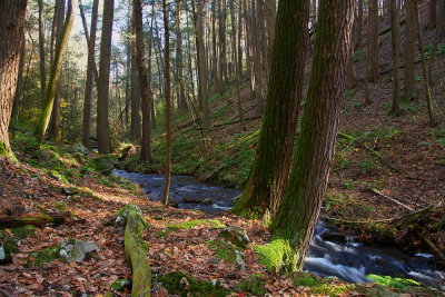 Tillman Ravine
