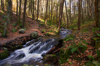 Tillman Ravine