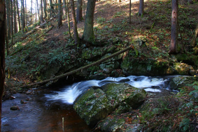 Tillman Ravine