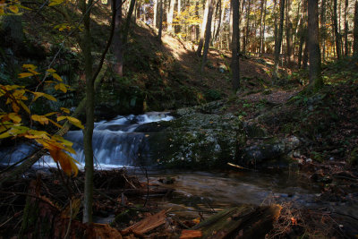 Tillman Ravine