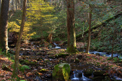 Tillman Ravine