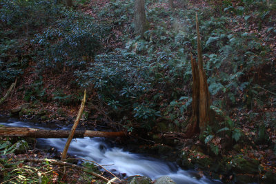 Tillman Ravine