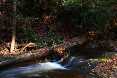 Tillman Ravine