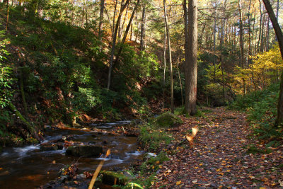 Tillman Ravine