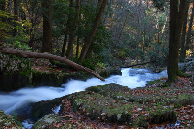 Tillman Ravine