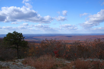 View from Sunrise Mountain