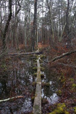 Unexpected Wildlife Refuge