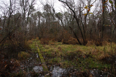 Unexpected Wildlife Refuge