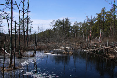 _MG_8591.jpg