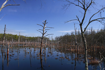 _MG_8597.jpg