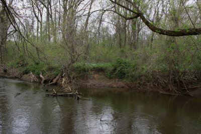 Crosswicks Creek